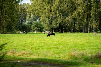 Landelijk-wonen Oost Overijssel