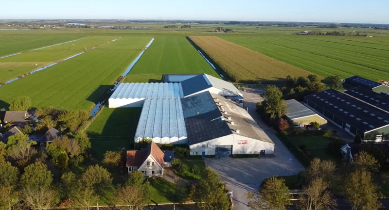 Tuinbouwbedrijf te koop in Noord-Holland: Noorderweg 111 B, Wijdewormer