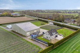 ALV overig te koop in Gelderland: Rhenoyseweg 22, Rhenoy