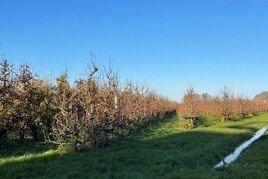 Losse grond te koop in Gelderland: Slimweistraat 5, Waardenburg