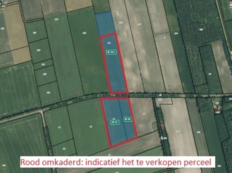 Losse grond te koop in Drenthe: Marokko ong, Holsloot