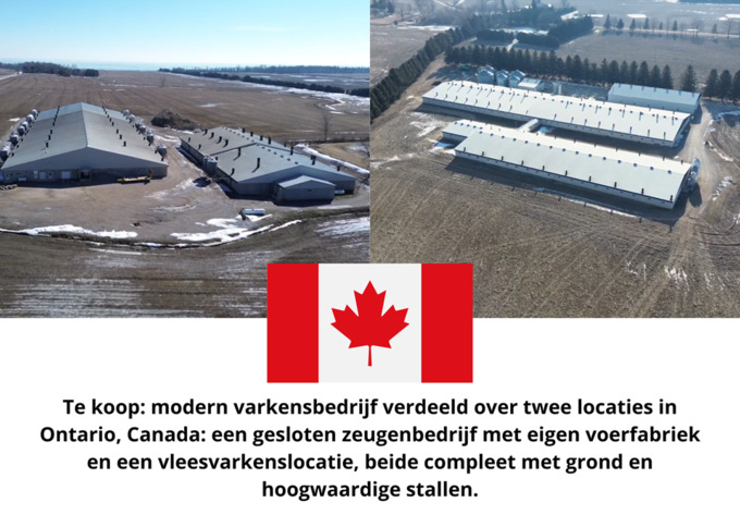 Varkensbedrijf te koop in Noord-Brabant: Bukkumweg 24 H, Hilvarenbeek