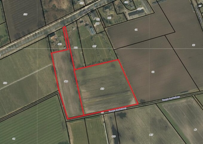 Losse grond te koop in Noord-Brabant: Peeldijk ong, Handel