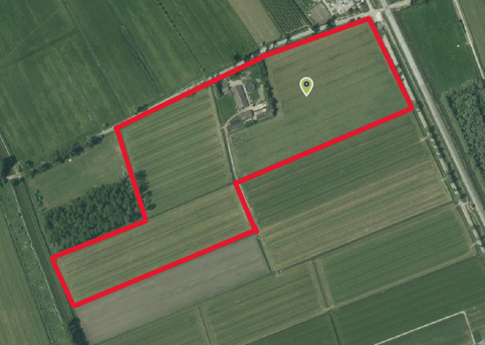 Melkveehouderijbedrijf te koop in Gelderland: Oude Hoevenseweg 5, Tricht