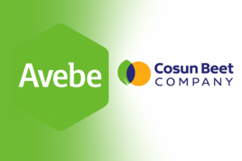 ALV overig te koop in Drenthe: Weidemolen, Dalen