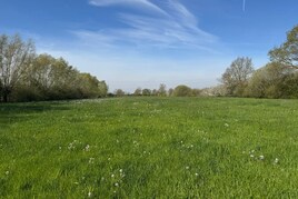 Losse grond te koop in Gelderland: Zeedijk ong, Nijbroek