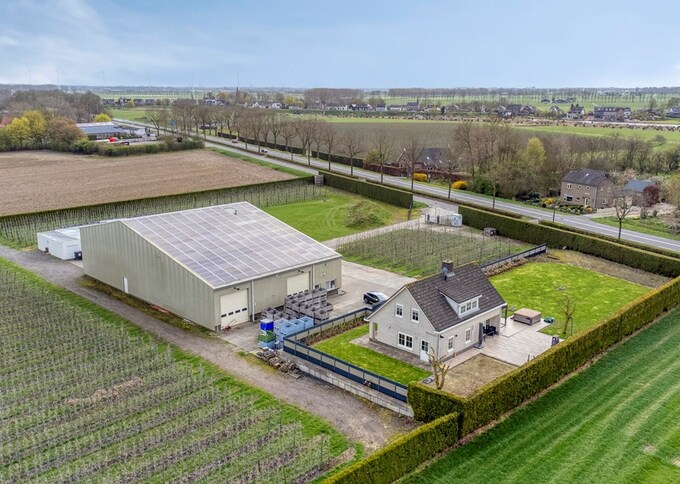 Tuinbouwbedrijf te koop in Gelderland: Rhenoyseweg 22, Rhenoy