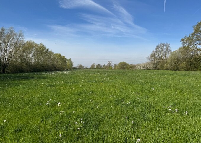 Losse grond te koop in Gelderland: Zeedijk ong, Nijbroek