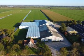 Tuinbouwbedrijf te koop in Noord-Holland: Noorderweg 111 B, Wijdewormer