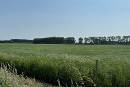 Losse grond te koop in Gelderland: Oude Hoevenseweg ong, Tricht