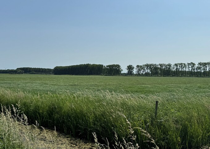 Losse grond te koop in Gelderland: Oude Hoevenseweg ong, Tricht