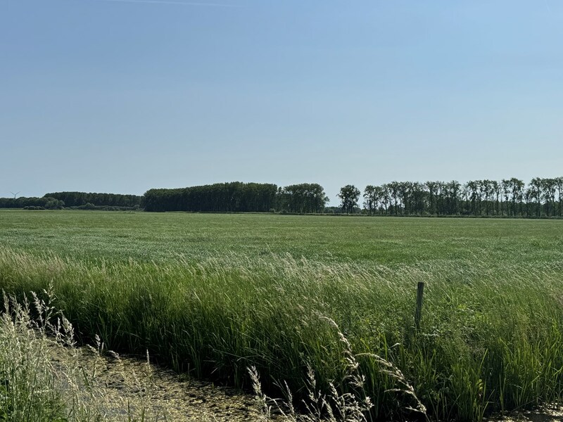 Losse grond te koop in Gelderland: Oude Hoevenseweg ong, Tricht