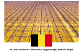 Tuinbouwbedrijf te huur in Noord-Brabant: Bukkumweg, Hilvarenbeek