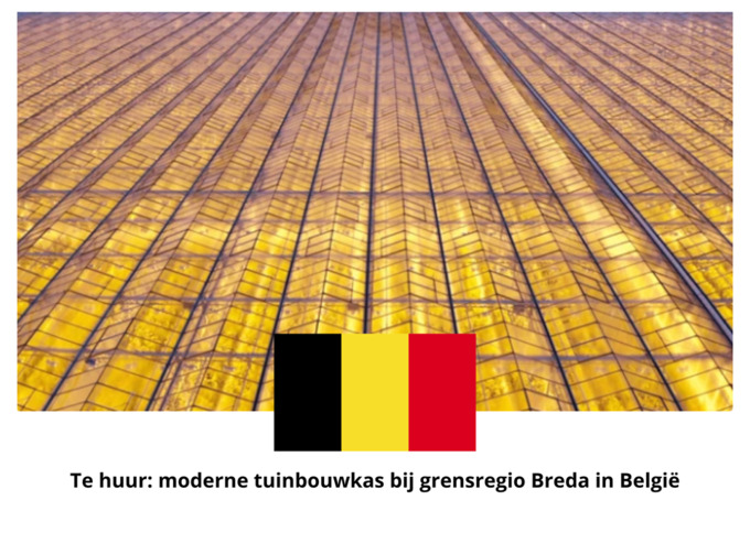 Tuinbouwbedrijf te koop in Noord-Brabant: Bukkumweg, Hilvarenbeek