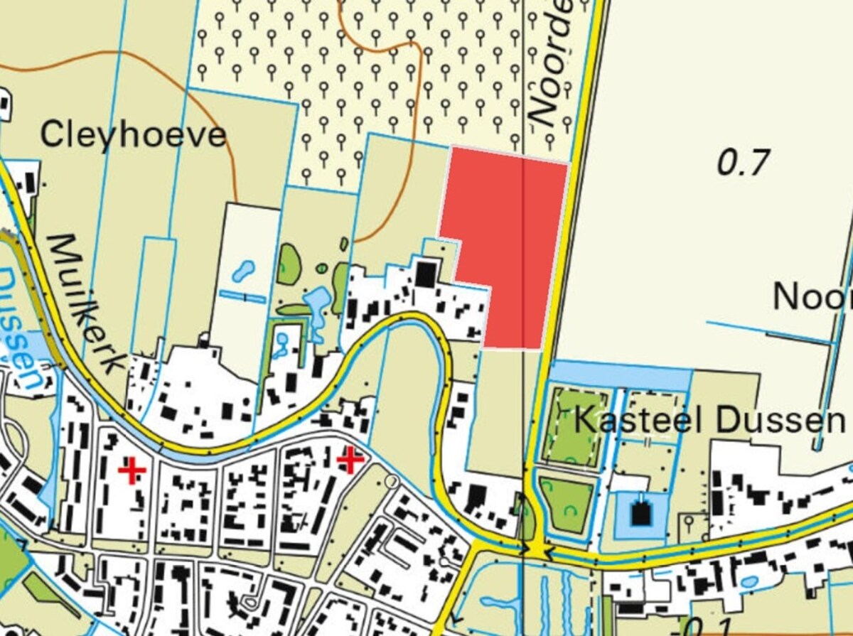 Muilkerk ong, Dussen