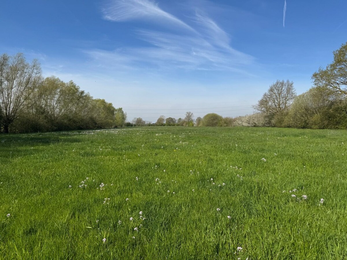 Zeedijk ong, Nijbroek