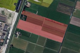 Westdijk ong, Zuidschermer