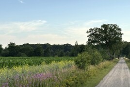 Losse grond te koop in Gelderland: Lendeweg ong, Hall