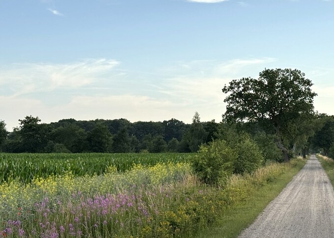 Losse grond te koop in Gelderland: Lendeweg ong, Hall